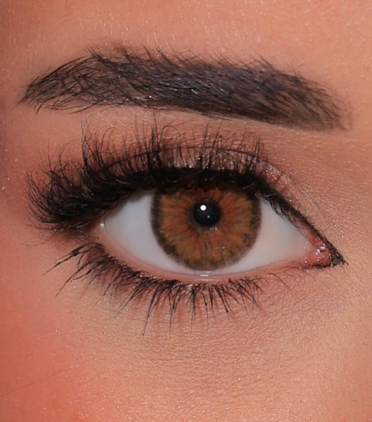 Cleopatra Hazel - Image 2