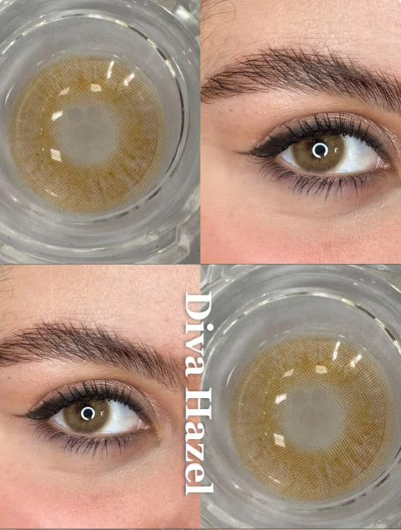 IMG_2316 Diva Hazel - Image 1