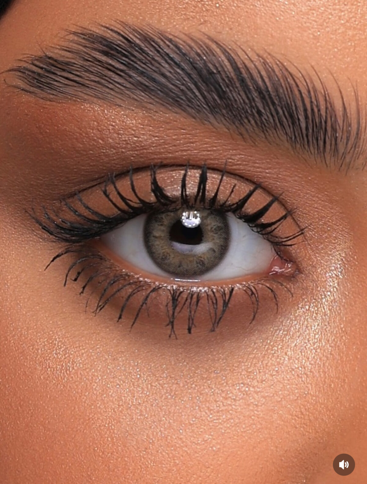 Nevada Brown - Image 3