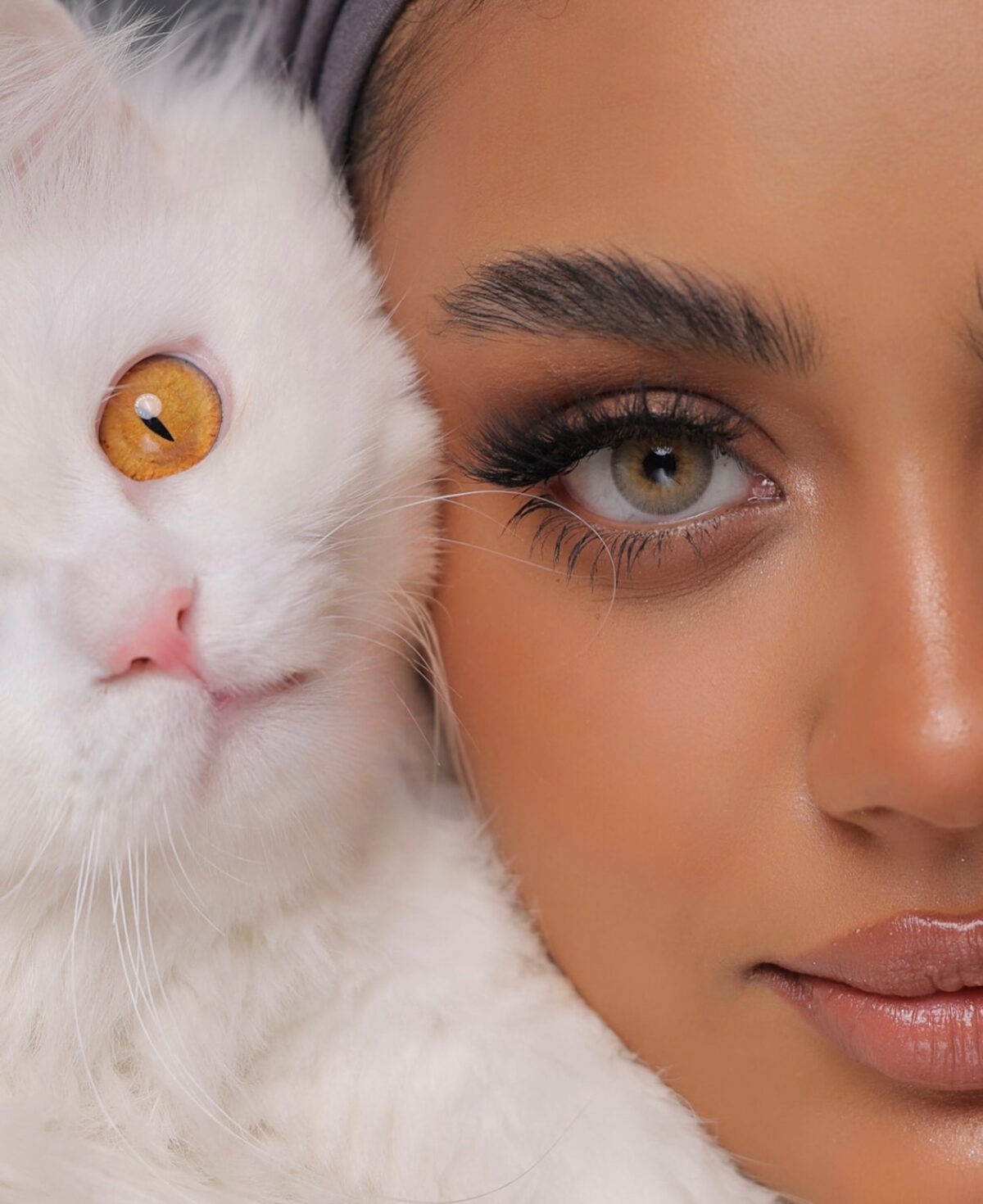 Desio Tender Hazel - Image 2